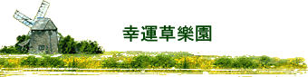 ���B��ֶ�